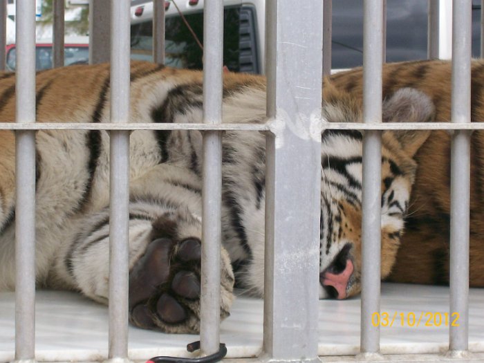 2012-Mar-10HGR4X4_4Wheelparts 022